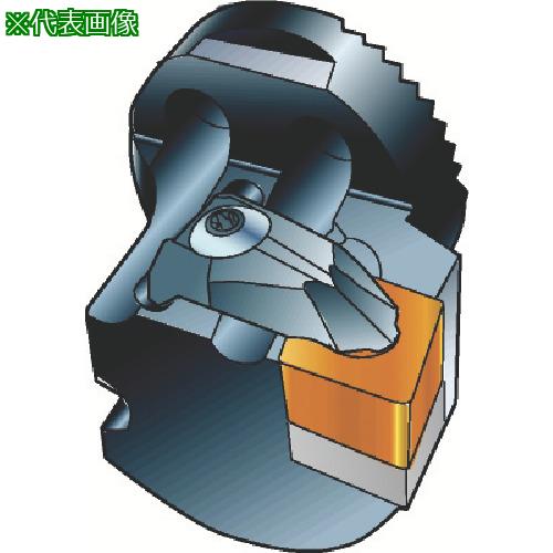 ■SANDVIK コロターンSL コロターンRC用カッティングヘッド(410)〔品番:570DCLNL3212L〕【6181589:0】[店頭受取不可]｜ホームセンターバロー　店