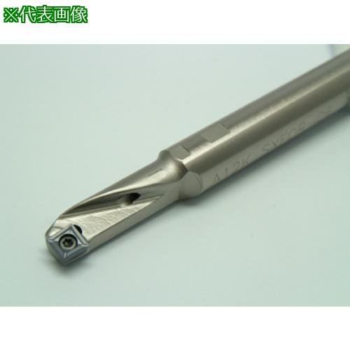 ■イスカル ISOターン 内径加工用ボーリングバー A-SXFOR/L〔品番:A10JSXFOR06〕【6204945:0】[送料別途見積り][掲外取寄][店頭受取不可]