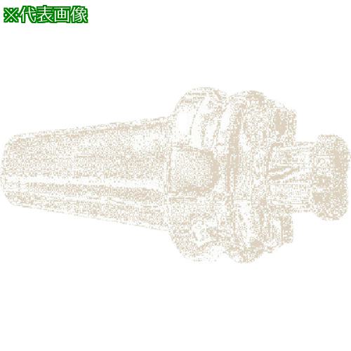 ■イスカル フェースミルホルダー BT-FM〔品番:BT50FM60X88〕【6211372:0】[送料別途見積り][掲外取寄][店頭受取不可]｜ホームセンターバロー　店