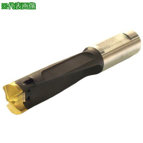 ■イスカル カムドリル ヘッド交換式ドリルホルダ DCM-3.5D〔品番:DCM13004213B3.5D〕【6213421:0】[送料別途見積り][法人・事業所限定][掲外取寄][店頭受取不可]