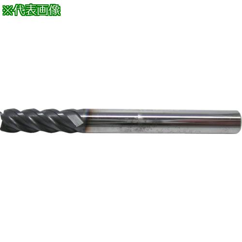 ■イスカル 超硬ソリッドエンドミル EC-B-4 IC900〔品番:EC100B224C10〕【6222218:0】[送料別途見積り][法人・事業所限定][掲外取寄][店頭受取不可]