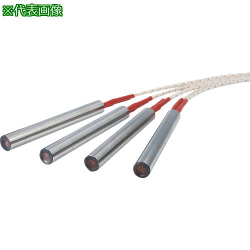 ■八光 ウルトラファイブ HL型 100V用 φ14.0L100 450W〔品番:HLH1453〕【6417481:0】[送料別途見積り][法人・事業所限定][外直送][店頭受取不可]