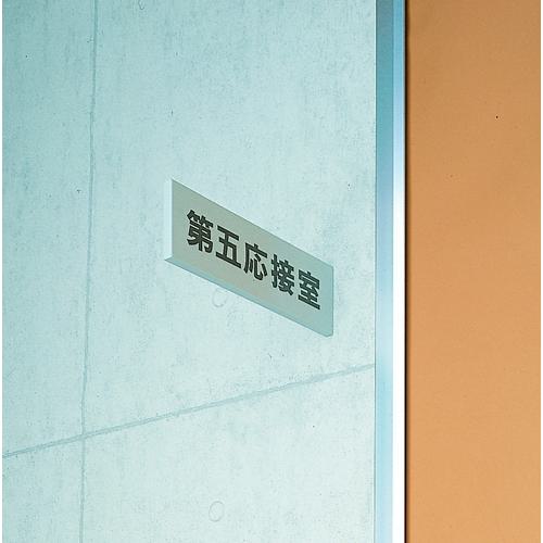 ■光 プレート持出タイプ スチール無地 79×250×11〔品番:S70N〕【6441810:0】[送料別途見積り][掲外取寄][店頭受取不可]