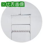 超ワイドモンキレンチ×北斗の拳|最強二人三脚がここに具体化！