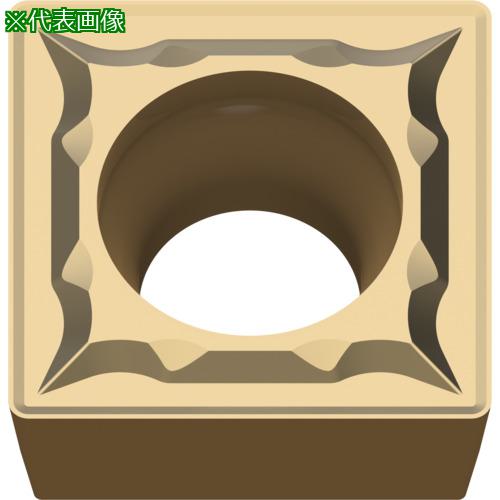 超ワイドモンキレンチ×北斗の拳|最強二人三脚がここに具体化！ 切削・研削工具用アクセサリー-旋削用チップ