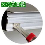 ■IWATA プロファイルインサート P-V/BH(500個入)〔品番:BHP19X1.545V〕【6536168:0】[法人・事業所限定][外直送元][店頭受取不可]
