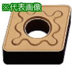 超ワイドモンキレンチ×北斗の拳|最強共同研究がここに現実化！
