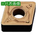 超ワイドモンキレンチ×北斗の拳|最強共同研究がここに現実化！