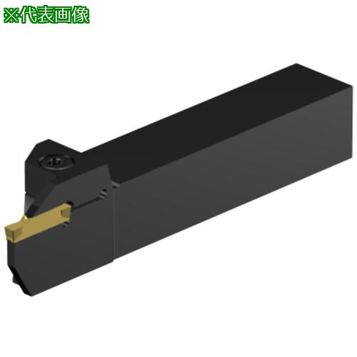 ■SANDVIK 突切り・溝入れ加工用シャンクバイト CoroCut2(480)〔品番:C2RRS25RH22DD〕【6566020:0】[送料別途見積り][掲外取寄][店頭受取不可]｜ホームセンターバロー　店 19,883円