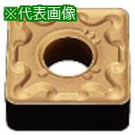 超ワイドモンキレンチ×北斗の拳|最強共同研究がここに現実化！