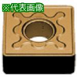 超ワイドモンキレンチ×北斗の拳|最強共同研究がここに現実化！