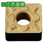 超ワイドモンキレンチ×北斗の拳|最強共同研究がここに現実化！