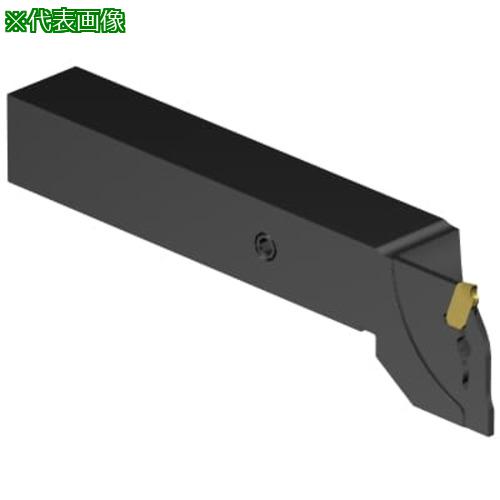 ■SANDVIK Y軸旋削用CoroCutQDシャンク (480)〔品番:QDLFE0800C12DY1〕【6573933:0】[送料別途見積り][掲外取寄][店頭受取不可]