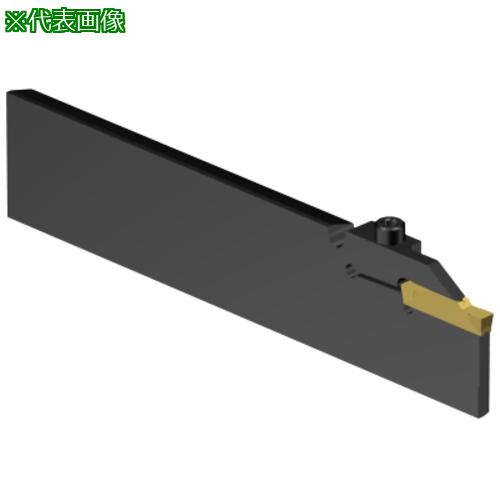 ■SANDVIK 突切り加工用ブレード CoroCut2(420)〔品番:C2RBR25LH25DF1〕【6583494:0】[送料別途見積り][掲外取寄][店頭受取不可]｜ホームセンターバロー　店