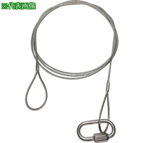 ■共成 落下防止ステンレスワイヤー線径2mm(10本セット)900L〔品番:290010S〕【6642851:0】[法人・事業所限定][直送元][店頭受取不可]