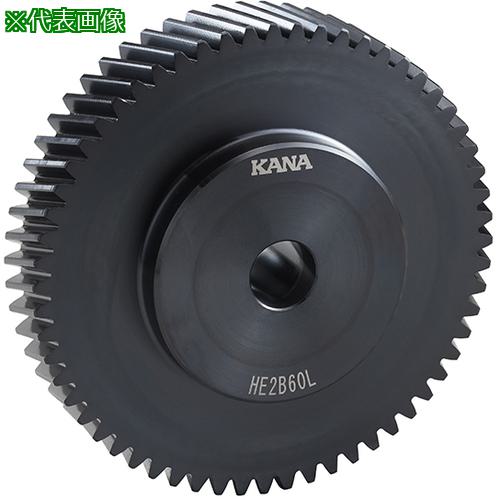 ■KANA はすば歯車 HE3B40L〔品番:HE3B40L〕【6693787:0】[送料別途見積り][掲外取寄][店頭受取不可]
