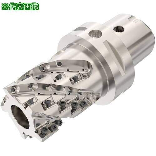 ■セコ ヘリカルカッタ R217/220.42-LNXO〔品番:C6R217.420050049LN.5BA〕【6798020:0】[送料別途見積り][法人・事業所限定][掲外取寄][店頭受取不可]｜ホームセンターバロー　店