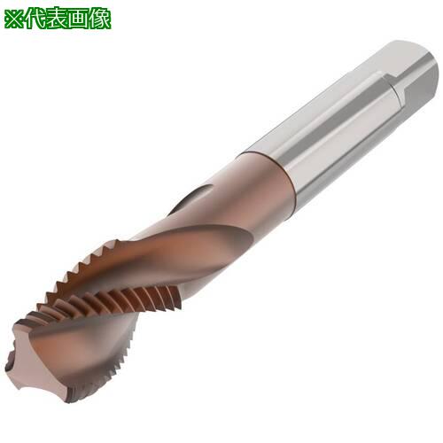 ■セコ ねじ切りタップ T35-R15・〔品番:T35R15S02C0510X165RH〕【6798034:0】[送料別途見積り][法人・事業所限定][掲外取寄][店頭受取不可] 8,280円