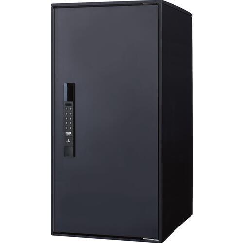 ■Panasonic 宅配ボックス イーコンボライトラージノーマルB色〔品番:CTN6250RB〕【6814863:0】[送料別途見積り][法人・事業所限定][掲外取寄][店頭受取不可]