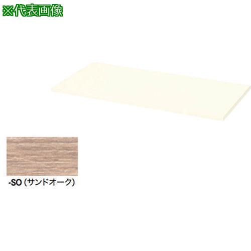 ■NAIKI 天板(20mm厚) CWS型収納庫〔品番:CWS900TPUSO〕【6815072:0】[送料別途見積り][法人・事業所限定][掲外取寄][店頭受取不可]