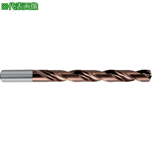 ■GUHRING 超硬ストレートシャンクドリル7xD用9.1mm〔品番:85149.100〕【6821670:0】[送料別途見積り][法人・事業所限定][掲外取寄][店頭受取不可]