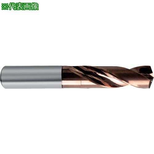 ■GUHRING 超硬ストレートシャンクドリル3xD用9.25mm〔品番:85129.250〕【6826437:0】[送料別途見積り][法人・事業所限定][掲外取寄][店頭受取不可]