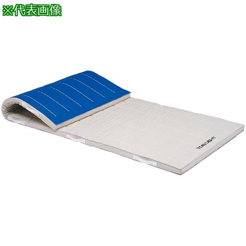 ■トーエイライト コンビネーションマット 90×180×5cm〔品番:T1288〕【6842625:0】[送料別途見積り][法人・事業所限定][外直送][店頭受取不可]