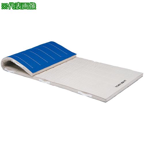 ■トーエイライト 合成スポンジマット 120&times;300&times;6cm〔品番:T1805〕【6842643:0】[送料別途見積り][法人・事業所限定][外直送][店頭受取不可]｜ホームセンターバロー　店