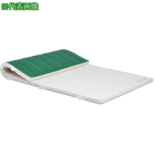 ■トーエイライト 合成スポンジマット 120×240×5cm〔品番:T2469〕【6843220:0】[送料別途見積り][法人・事業所限定][外直送][店頭受取不可]