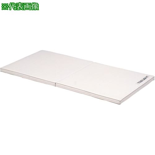 ■トーエイライト ソフト軽量マット 120×240×5.5cm(F〔品番:T1798〕【6843263:0】[送料別途見積り][法人・事業所限定][外直送][店頭受取不可]