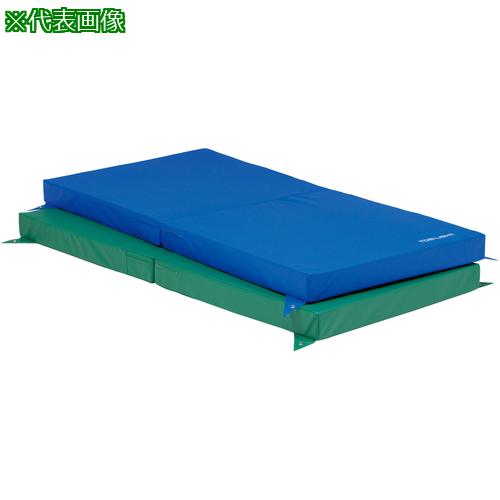 ■トーエイライト 鉄棒用下敷きマット 鉄棒用下敷マットSE90〔品番:T1313G〕【6843275:0】[送料別途見積り][法人・事業所限定][外直送][店頭受取不可]