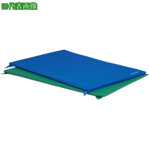 ■トーエイライト 鉄棒用下敷きマット 鉄棒用下敷マット80〔品番:T1940B〕【6843754:0】[送料別途見積り][法人・事業所限定][外直送][店頭受取不可]
