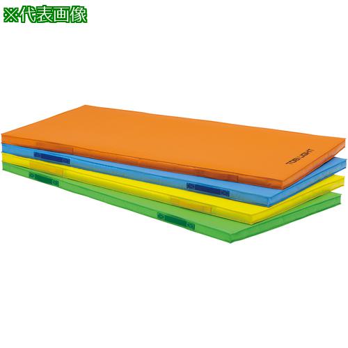 ■トーエイライト 屋内外兼用マット 屋内外兼用マット〔品番:T2529Y〕【6843766:0】[送料別途見積り][法人・事業所限定][外直送][店頭受取不可]