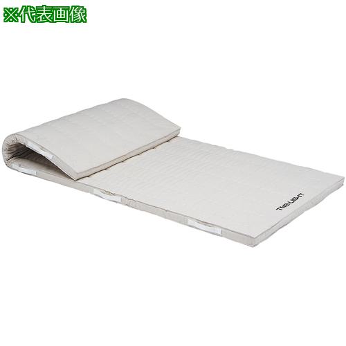 ■トーエイライト コンビネーションマット 120×240×5cm〔品番:T2333〕【6843821:0】[送料別途見積り][法人・事業所限定][外直送][店頭受取不可]