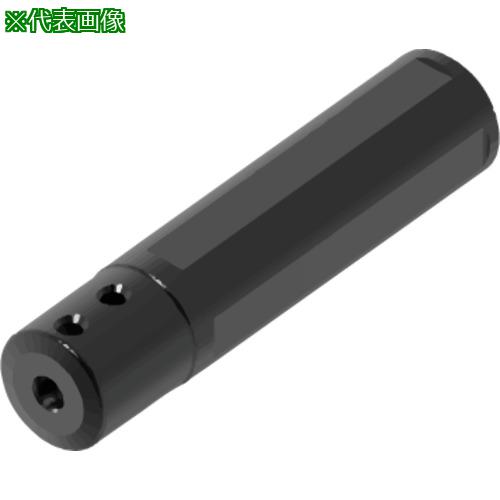 ■三菱 工具 内径加工スモールツール小型自動旋盤用工具小物部品加工〔品番:SLV254110030N〕【6854557:0】[送料別途見積り][掲外取寄][店頭受取不可]