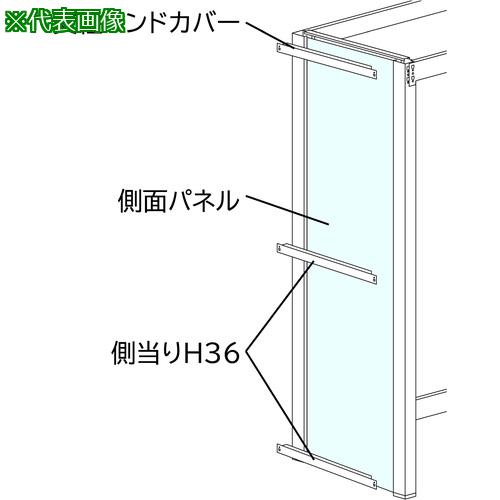 ■SANSHIN スリム棚板ラック スリムイーラック側面パネルセット金属BPエンド用 H1900×D625用〔品番:EBPSK662KFMW0〕【6866612:0】[送料別途見積り][法人・事業所限定][外直送][店頭受取不可]