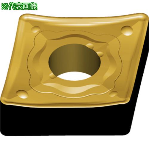 超ワイドモンキレンチ×北斗の拳|最強二人三脚がここに具体化！ 花・ガーデン・DIY-旋削用チップ
