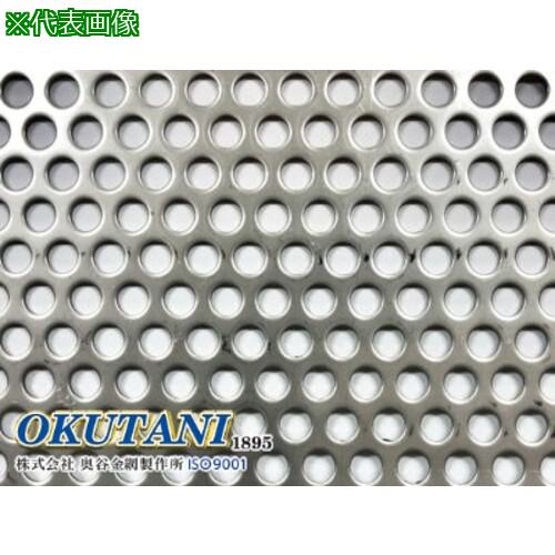 ■OKUTANI 二相ステンレス鋼パンチング SUS821L1 2B 3.0TXD6XP9 1000X2000〔品番:PM821T3.0D6P91000X2000〕【6903072:0】[送料別途見積り][法人・事業所限定][外直送][店頭受取不可]｜ホームセンターバロー　店