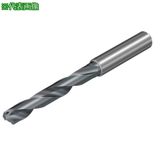 ■SANDVIK CoroDrill Dura462 マルチ被削材向けの超硬ソリッドドリル7.2mm(722) X2BM〔品番:462.10720036A1XM〕【6911968:0】[送料別途見積り][掲外取寄][店頭受取不可]｜ホームセンターバロー　店