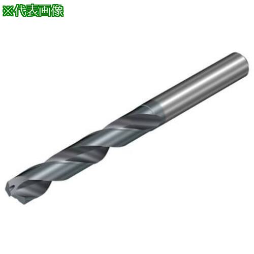 ■SANDVIK CoroDrill Dura462 マルチ被削材向けの超硬ソリッドドリル10mm(722) X2BM〔品番:462.11000030A1XM〕【6916675:0】[送料別途見積り][掲外取寄][店頭受取不可]