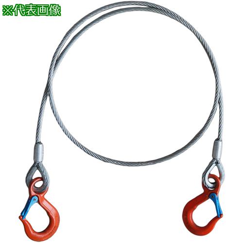 ■TAIYO ワイヤバランサー 1t L3.5m用 ワイヤフックセット(1015556)〔品番:TWBLWH1TX3.5〕【6929328:0】[送料別途見積り][掲外取寄][店頭受取不可]｜ホームセンターバロー　店