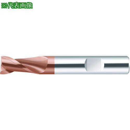 ■Prototyp 超硬エンドミル Performライン10mm〔品番:ME23210.0W2BWJ30ED〕【6941456:0】[店頭受取不可]