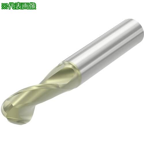 ■セコ アルミ加工用 Sシリーズエンドミル S4321・ AXT〔品番:S4321100E2B.0Z2〕【6948005:0】[送料別途見積り][法人・事業所限定][掲外取寄][店頭受取不可]