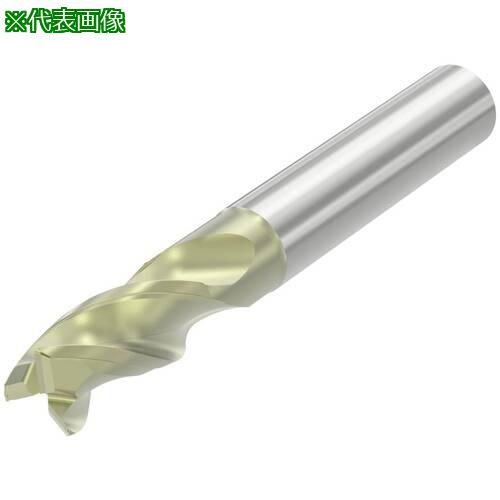 ■セコ Sシリーズエンドミル アルミ加工用 S4531・ AXT〔品番:S4531100E2R050.0Z3〕【6949543:0】[送料別途見積り][法人・事業所限定][掲外取寄][店頭受取不可]｜ホームセンターバロー　店
