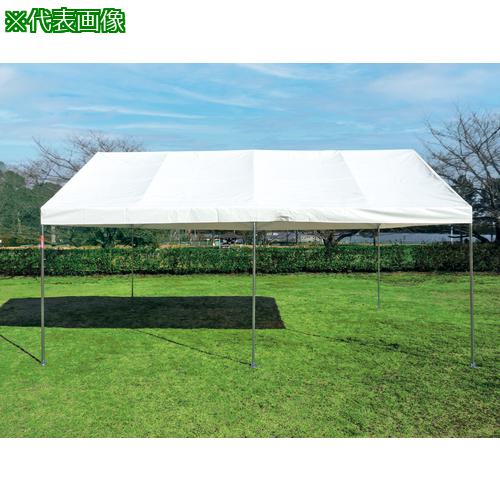 ■トーエイライト アルミキングテント2030〔品番:G1817〕【6963905:0】[送料別途見積り][法人・事業所限定][外直送][店頭受取不可]｜ホームセンターバロー　店