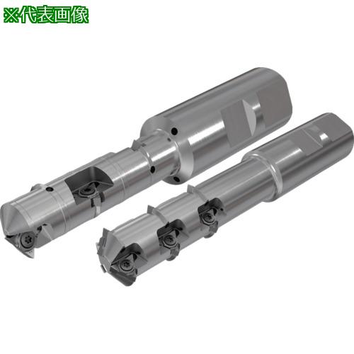 ■イスカル ねじ切りホルダ ミルスレッド MTET Step Release〔品番:MTETD253213W2511U〕【6983991:0】[店頭受取不可]