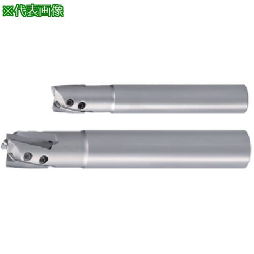 ■タンガロイ ハイブリッド・タック・ミル 柄付きカッタ EPH〔品番:EPH18R025M25.04〕【7035411:0】[送料別途見積り][掲外取寄][店頭受取不可]｜ホームセンターバロー　店