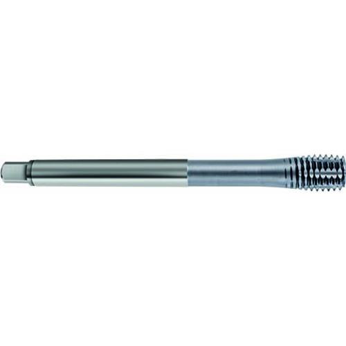 ■GUHRING ステンレス用フォーミングタップ メ-トル細目ねじ M18×1.5 アキシャルクーラント穴付き〔品番:810118.007〕【7098870:0】[送料別途見積り][法人・事業所限定][掲外取寄][店頭受取不可]