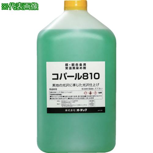 超ワイドモンキレンチ×北斗の拳|最強二人三脚がここに具体化！