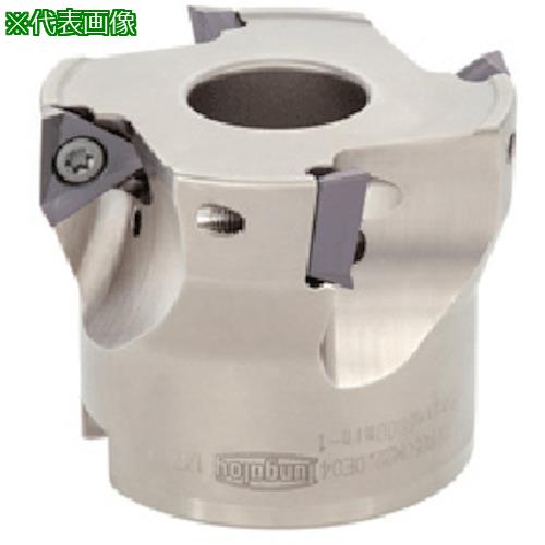 ■タンガロイ タング・トライ ボアタイプカッタ TPA10〔品番:TPA10R050M22.0E04〕【7102208:0】[店頭受取不可]｜ホームセンターバロー　店